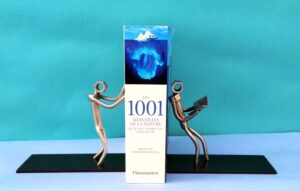 Cale livre en métal