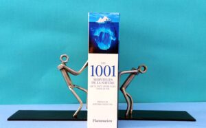 Cale livre en métal